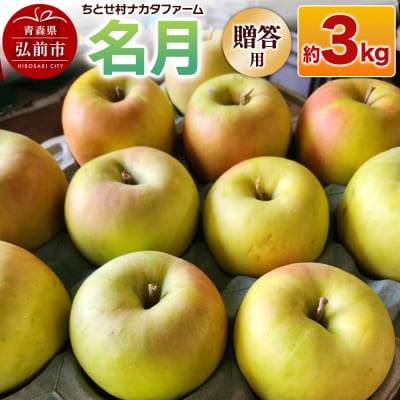 りんご 名月 約3kg 贈答用 ちとせ村|24_cmn-020301