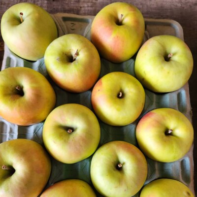 りんご【贈答用】名月 約3kg|24_cmn-020301