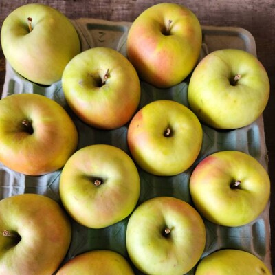 【26年11月下旬発送】りんご 名月【贈答用】約3kg|24_cmn-020301