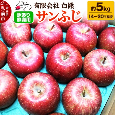 りんご 訳あり家庭用【25年11月出荷】白熊 サンふじ 約5kg|24_srk-030501a