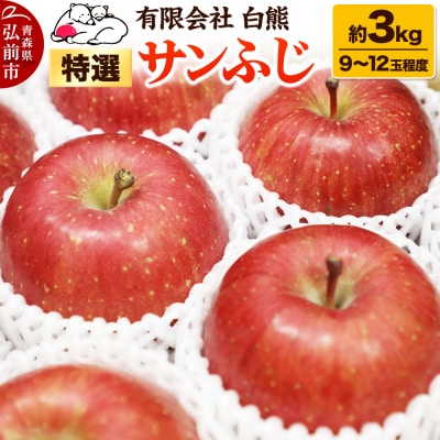 りんご 特選【26年2月出荷】白熊 サンふじ 絆 約3kg|24_srk-040301d