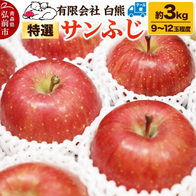 りんご 特選【26年3月出荷】白熊 サンふじ 絆 約3kg|24_srk-040301e