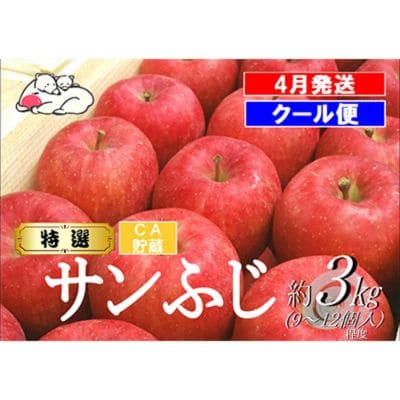 りんご 特選【26年4月出荷】白熊 サンふじ絆 約3kg CA貯蔵|24_srk-040301f