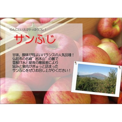 りんご 特選【26年4月出荷】白熊 サンふじ絆 約3kg CA貯蔵|24_srk-040301f