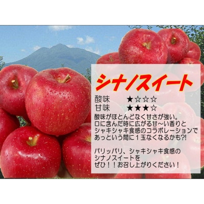 りんご 贈答用【26年5月出荷】白熊 シナノスイート 約3kg|24_srk-010301