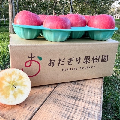 【25年11月～発送】りんご【贈答】高徳 約2kg(8～13玉程度)|24_odg-010201