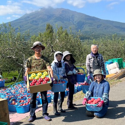 りんご 最高等級特選大玉3種詰め合わせ 約5kg(サンふじ・金星・王林)|24_rfk-020501
