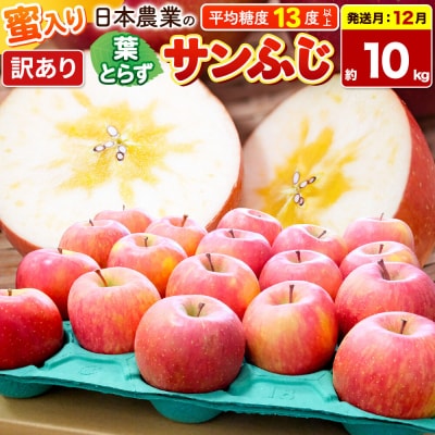 【26年12月発送】りんご 葉とらずサンふじ約10kg【訳あり】蜜入|24_nng-131001ag
