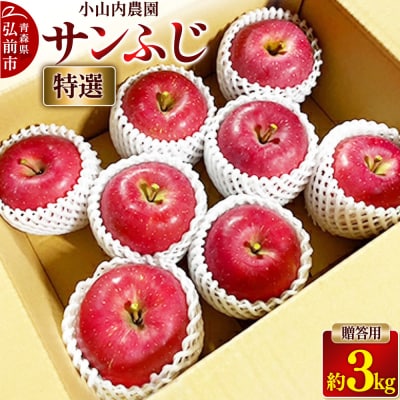 りんご 小山内農園【特選】サンふじ 贈答用 約3kg|24_osn-020301