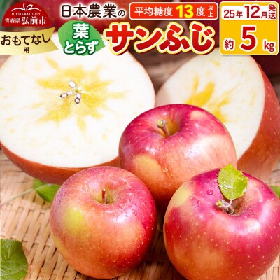 りんご【25年12月出荷】 葉とらずサンふじ 約5kg おもてなし用|24_nng-130501bg