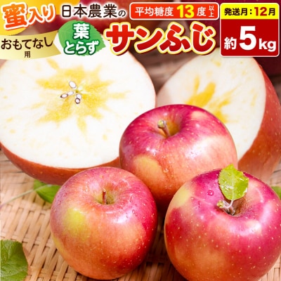 【26年12月発送】りんご 葉とらずサンふじ約5kg【おもてなし用】|24_nng-130501bg