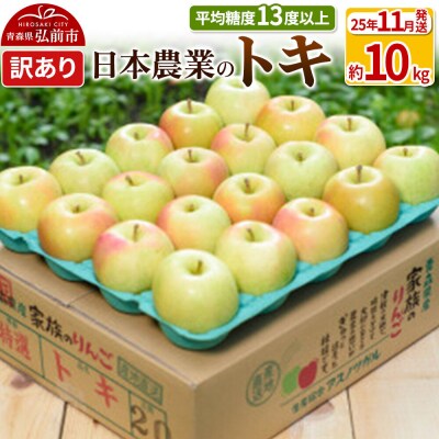 りんご 【25年11月出荷】 トキ 約10kg 訳あり|24_nng-061001af