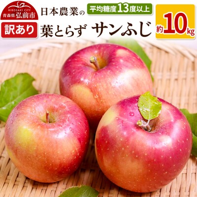 りんご  葉とらずサンふじ 約10kg 訳あり|24_nng-131001a