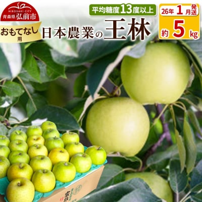 りんご 【26年1月出荷】 王林 約5kg おもてなし用|24_nng-110501bh