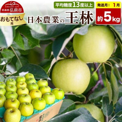 りんご【27年1月発送】王林【おもてなし用】約5kg|24_nng-110501bh