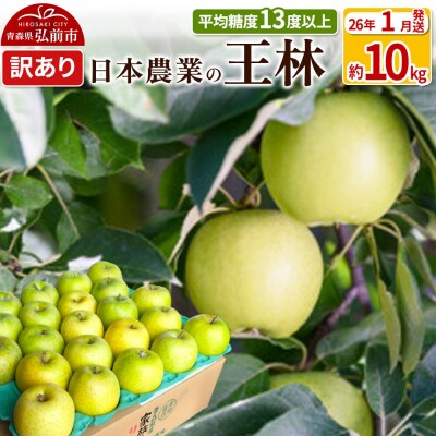 りんご 【26年1月出荷】 王林 約10kg 訳あり|24_nng-111001ah