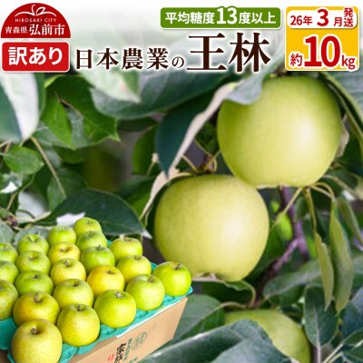りんご 【26年3月出荷】 王林 約10kg 訳あり|24_nng-111001aj