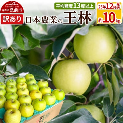 りんご 【25年12月出荷】 王林 約10kg 訳あり|24_nng-111001ag