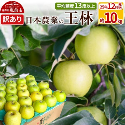 りんご 【25年12月出荷】 王林 約10kg 訳あり|24_nng-111001ag