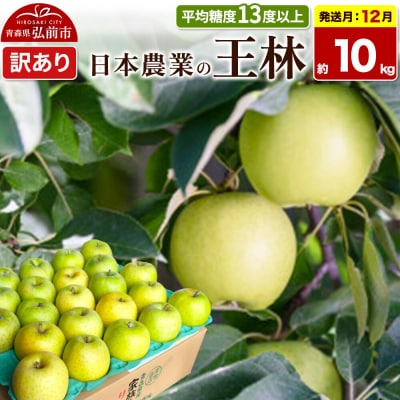 りんご【26年12月発送】王林【訳あり】約10kg|24_nng-111001ag