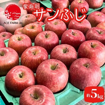 りんご【先行受付】家庭用 サンふじ 約5kg(中玉～大玉12～18玉程度|24_ace-020501