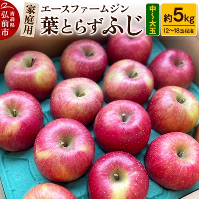 りんご家庭用 葉とらず ふじ 約5kg(中玉～大玉12～18玉程度)|24_ace-030501