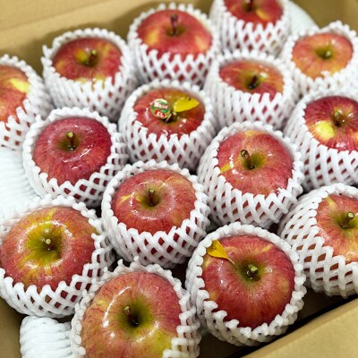 りんご家庭用 葉とらず ふじ 約5kg(中玉～大玉12～18玉程度)|24_ace-030501