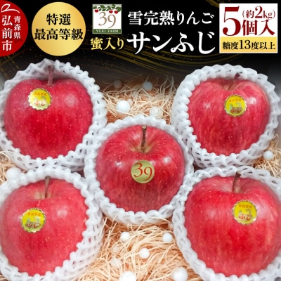 りんご サンふじ【特選】約2kg(5個)最高等級 蜜入り 先行受付|24_yuk-060201