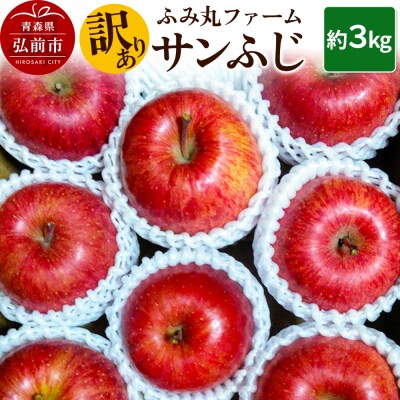 りんご ふみ丸ファーム【訳あり】サンふじ 3kg|24_fmf-040301