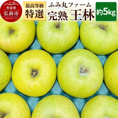 りんご ふみ丸ファーム 最高等級「特選」完熟 王林 約5kg|24_fmf-030501