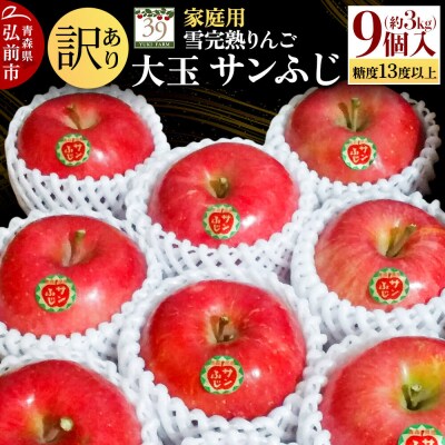 りんご サンふじ【訳あり】約3kg(9個)大玉 家庭用 先行受付|24_yuk-210301