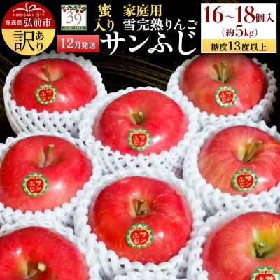 りんご サンふじ【訳あり】約5kg(16～18個)蜜入 家庭用 先行受付|24_yuk-170501