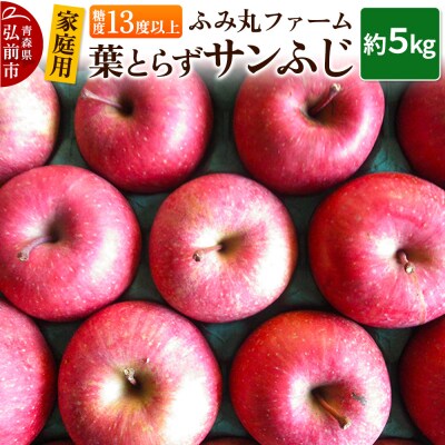 りんご【家庭用】葉とらず サンふじ 約5kg 糖度13度以上|24_fmf-060501