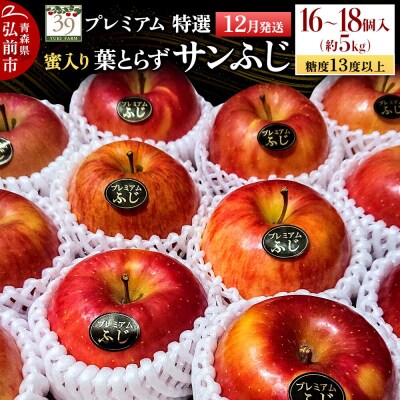 りんご 葉とらずサンふじ【特選】約5kg(16～18個)蜜入り 先行受付|24_yuk-090501