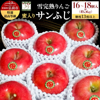 りんご サンふじ【特選】約5kg(16～18個)蜜入り 先行受付|24_yuk-060501