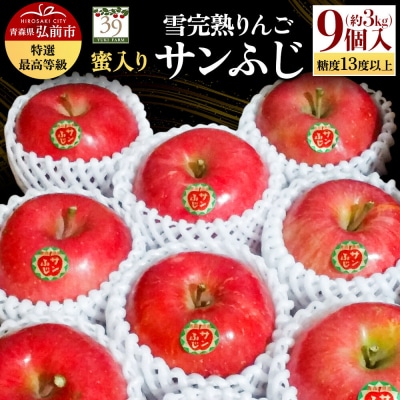 りんご サンふじ【特選】約3kg(9個)最高等級 蜜入り 先行受付|24_yuk-060301