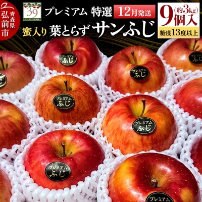 りんご 葉とらずサンふじ【特選】約3kg(9個)蜜入り 先行受付|24_yuk-090301