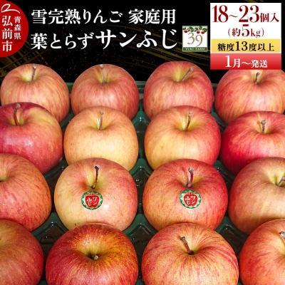 りんご 葉とらずサンふじ【家庭用】約5kg(18～23個程度)先行受付|24_yuk-130501