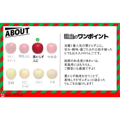 りんご 13度糖度保証【贈答用】葉とらずふじ 約2.5kg|24_rap-150201