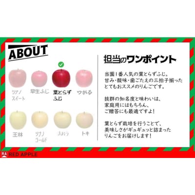 りんご 13度糖度保証【贈答用】葉とらずふじ 約2.5kg|24_rap-150201