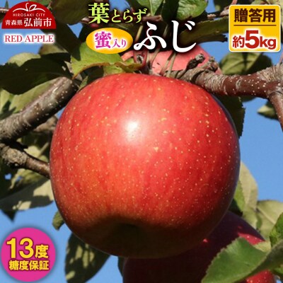 りんご 蜜入り 13度糖度保証【贈答用】葉とらずふじ 約5kg|24_rap-150501