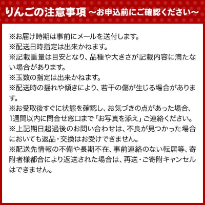 りんご 13度糖度保証【訳あり】家庭用 葉とらずふじ 約10kg|24_rap-161001