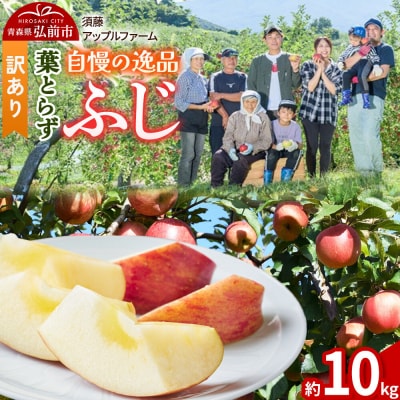 りんご【26年11月下旬～発送】葉とらずふじ【訳あり】10kg 先行受付|24_saf-061001