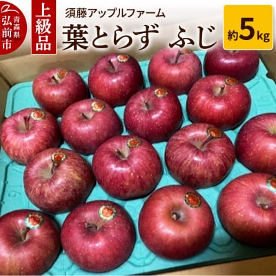 りんご 上級品 葉とらず ふじ 約5kg|24_saf-050501