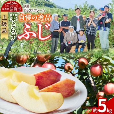 りんご【26年11月下旬～発送】葉とらずふじ【上級品】約5kg 先行受付|24_saf-050501