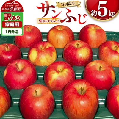 りんご 【27年1月発送】葉取らず サンふじ【訳あり】約5kg|24_apc-070501b