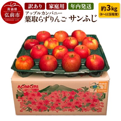 りんご 訳あり家庭用【年内発送】葉取らず サンふじ 約3kg|24_apc-070301a