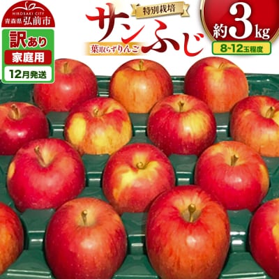 りんご 訳あり家庭用【年内発送】葉取らず サンふじ 約3kg|24_apc-070301a