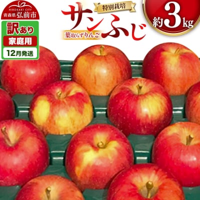 りんご 【26年12月発送】葉取らず サンふじ【訳あり】約3kg|24_apc-070301a