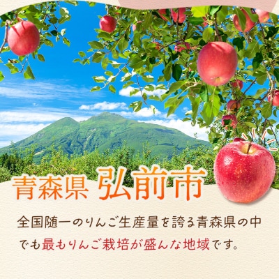 【26年12月発送】りんご サンふじ【家庭用】約3kg 津軽農園|24_tgn-010301